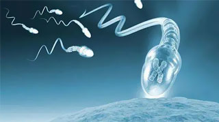 什么是试管婴儿胚胎植入前基因检测(PGT)？有风险吗？什么人适合做？